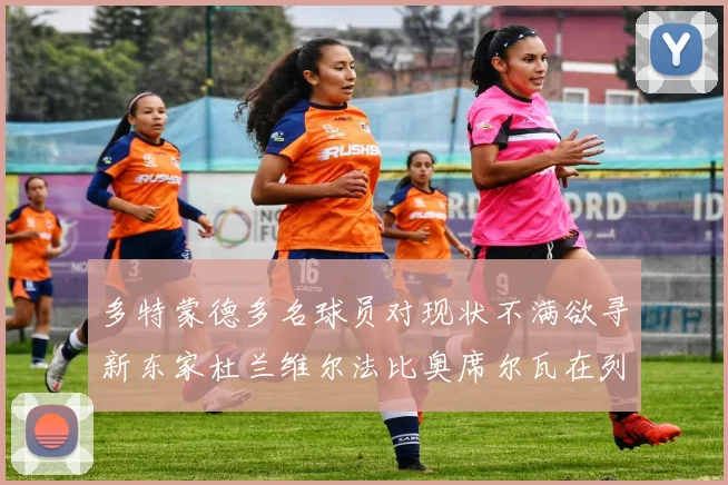 多特蒙德多名球员对现状不满欲寻新东家杜兰维尔法比奥席尔瓦在列