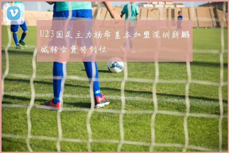 U23国足主力杨希基本加盟深圳新鹏城转会费将到位
