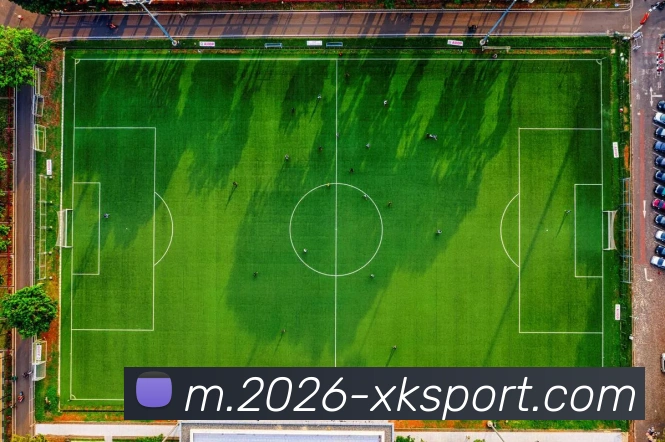 星空体育发展历程